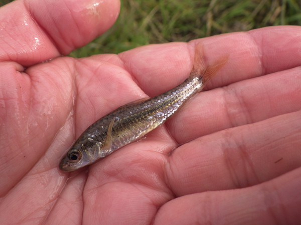 f:id:OIKAWAMARU:20190109213342j:plain f:id:OIKAWAMARU:20190109213342j:plain