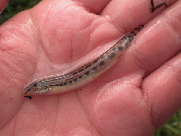 f:id:OIKAWAMARU:20190109213405j:plain f:id:OIKAWAMARU:20190109213405j:plain