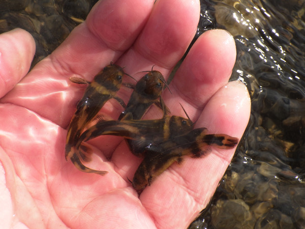 f:id:OIKAWAMARU:20190109214503j:plain f:id:OIKAWAMARU:20190109214503j:plain