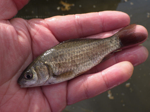 f:id:OIKAWAMARU:20190116230700j:plain f:id:OIKAWAMARU:20190116230700j:plain