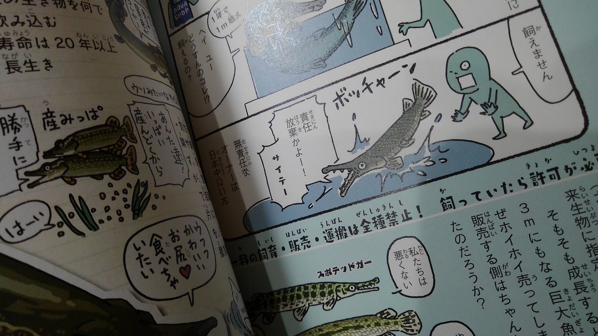 f:id:OIKAWAMARU:20190325095956j:plain f:id:OIKAWAMARU:20190325095956j:plain