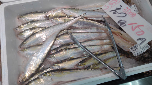 f:id:OIKAWAMARU:20200607163302j:plain f:id:OIKAWAMARU:20200607163302j:plain