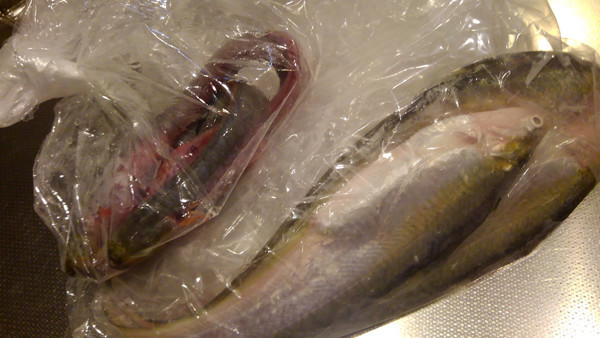 f:id:OIKAWAMARU:20200607163354j:plain f:id:OIKAWAMARU:20200607163354j:plain