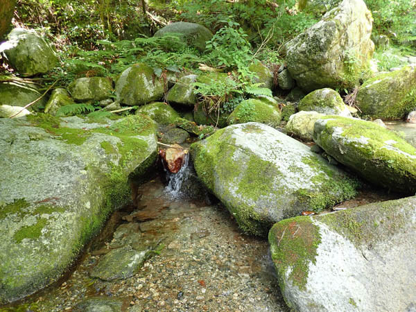 f:id:OIKAWAMARU:20200610174005j:plain f:id:OIKAWAMARU:20200610174005j:plain