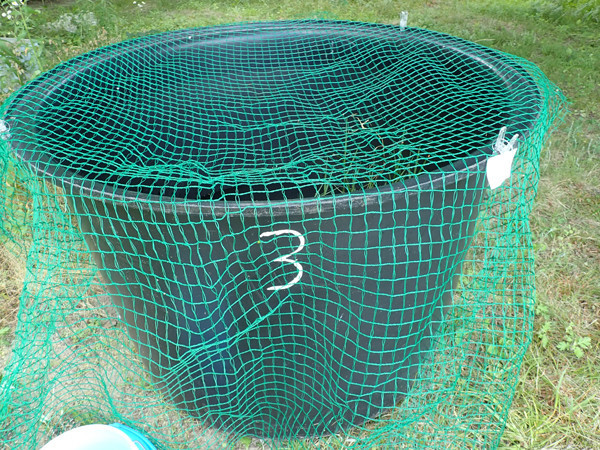 f:id:OIKAWAMARU:20200610174008j:plain f:id:OIKAWAMARU:20200610174008j:plain