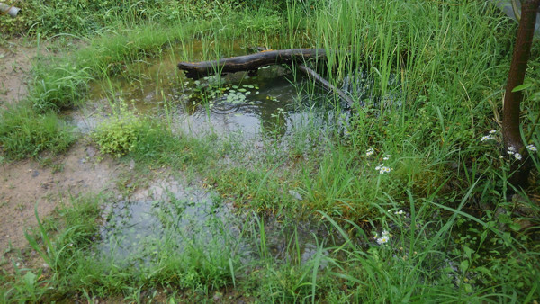 f:id:OIKAWAMARU:20200614211200j:plain f:id:OIKAWAMARU:20200614211200j:plain