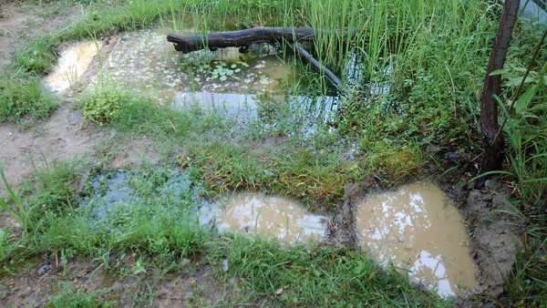 f:id:OIKAWAMARU:20200614211247j:plain f:id:OIKAWAMARU:20200614211247j:plain