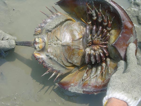 f:id:OIKAWAMARU:20200621214823j:plain f:id:OIKAWAMARU:20200621214823j:plain