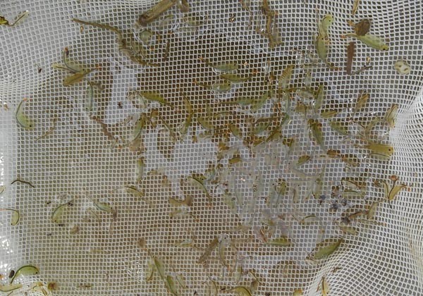 f:id:OIKAWAMARU:20200621215035j:plain f:id:OIKAWAMARU:20200621215035j:plain