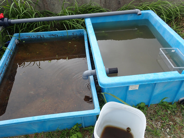 f:id:OIKAWAMARU:20200726230231j:plain