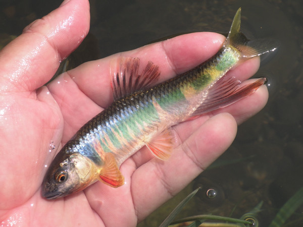 f:id:OIKAWAMARU:20200823214311j:plain f:id:OIKAWAMARU:20200823214311j:plain