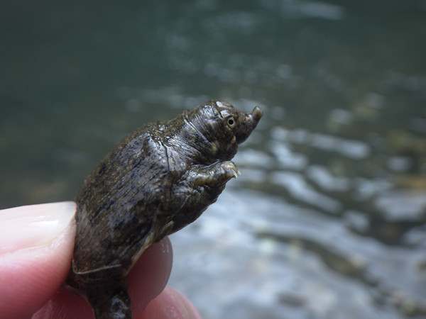 f:id:OIKAWAMARU:20200823214333j:plain f:id:OIKAWAMARU:20200823214333j:plain