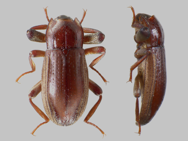 f:id:OIKAWAMARU:20200923164536j:plain f:id:OIKAWAMARU:20200923164536j:plain