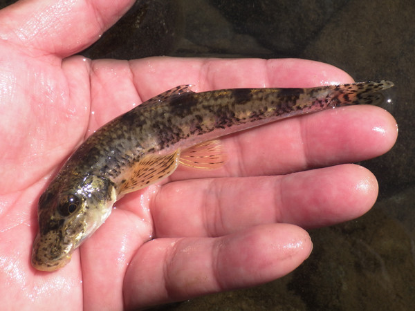 f:id:OIKAWAMARU:20201002212523j:plain f:id:OIKAWAMARU:20201002212523j:plain