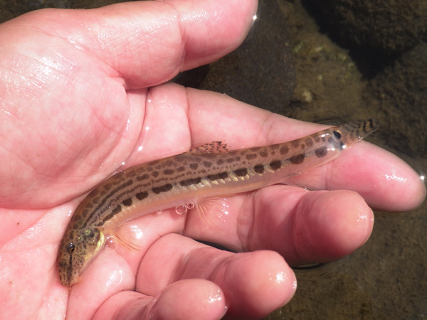 f:id:OIKAWAMARU:20201002212534j:plain f:id:OIKAWAMARU:20201002212534j:plain