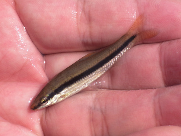 f:id:OIKAWAMARU:20201002212550j:plain f:id:OIKAWAMARU:20201002212550j:plain