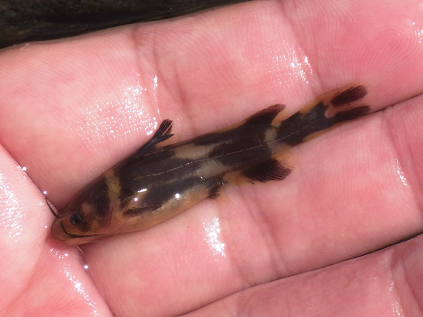 f:id:OIKAWAMARU:20201002212616j:plain f:id:OIKAWAMARU:20201002212616j:plain