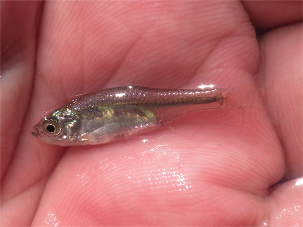 f:id:OIKAWAMARU:20201002212628j:plain f:id:OIKAWAMARU:20201002212628j:plain