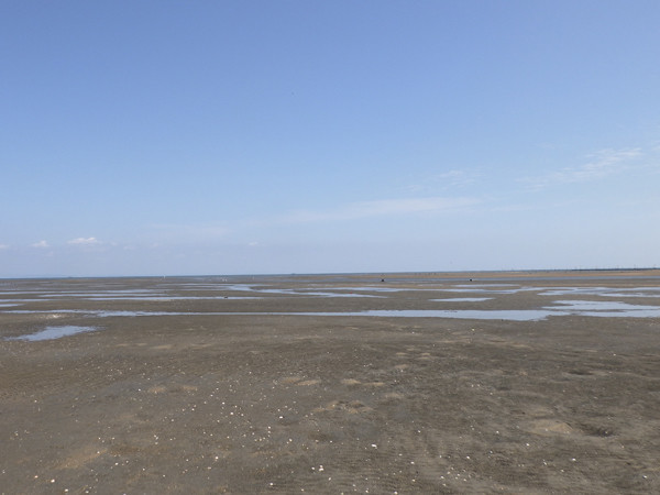 f:id:OIKAWAMARU:20201013215523j:plain f:id:OIKAWAMARU:20201013215523j:plain