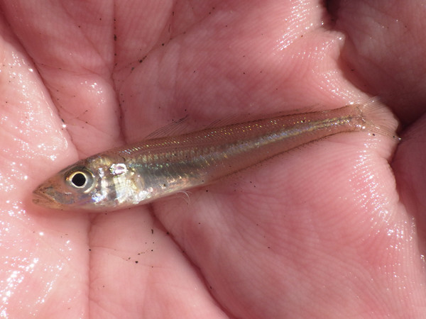 f:id:OIKAWAMARU:20201013215540j:plain f:id:OIKAWAMARU:20201013215540j:plain