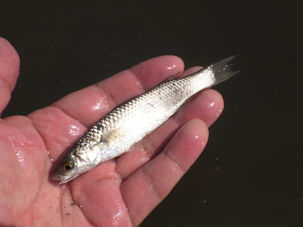 f:id:OIKAWAMARU:20201013215548j:plain f:id:OIKAWAMARU:20201013215548j:plain