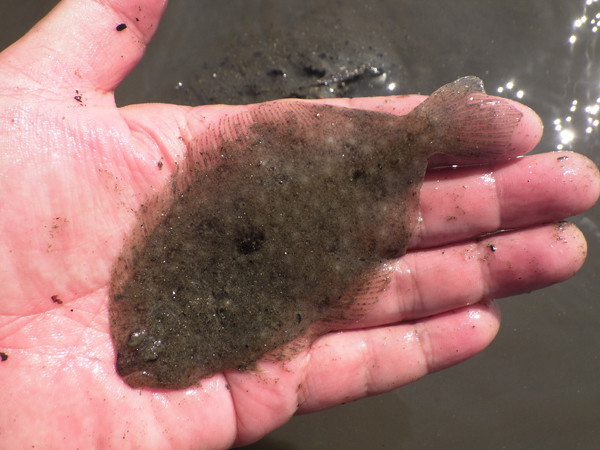 f:id:OIKAWAMARU:20201013215617j:plain f:id:OIKAWAMARU:20201013215617j:plain