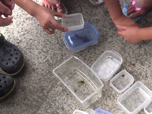 f:id:OIKAWAMARU:20210719183707j:plain