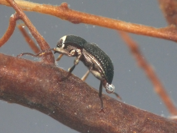 f:id:OIKAWAMARU:20210726215150j:plain