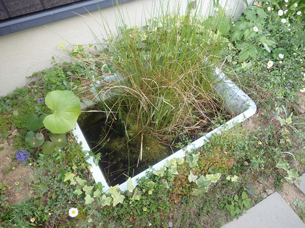 f:id:OIKAWAMARU:20220410175440j:plain