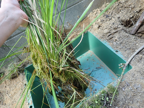 f:id:OIKAWAMARU:20220410175605j:plain