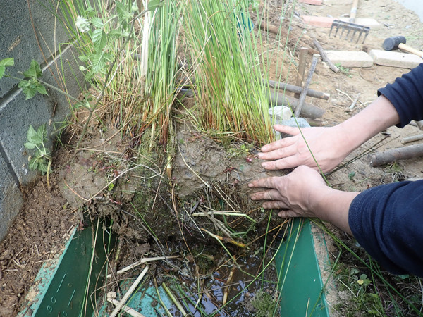 f:id:OIKAWAMARU:20220410175614j:plain