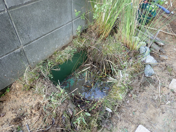 f:id:OIKAWAMARU:20220410175623j:plain