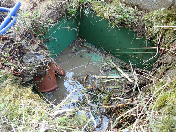 f:id:OIKAWAMARU:20220410175642j:plain