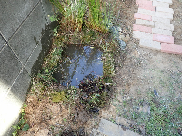 f:id:OIKAWAMARU:20220410175653j:plain