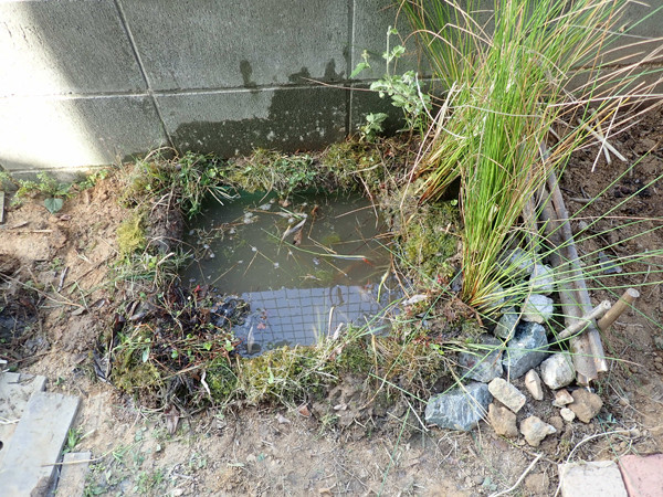 f:id:OIKAWAMARU:20220410175702j:plain