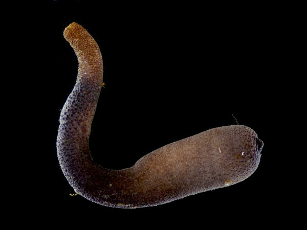 f:id:OIKAWAMARU:20220412111431j:plain