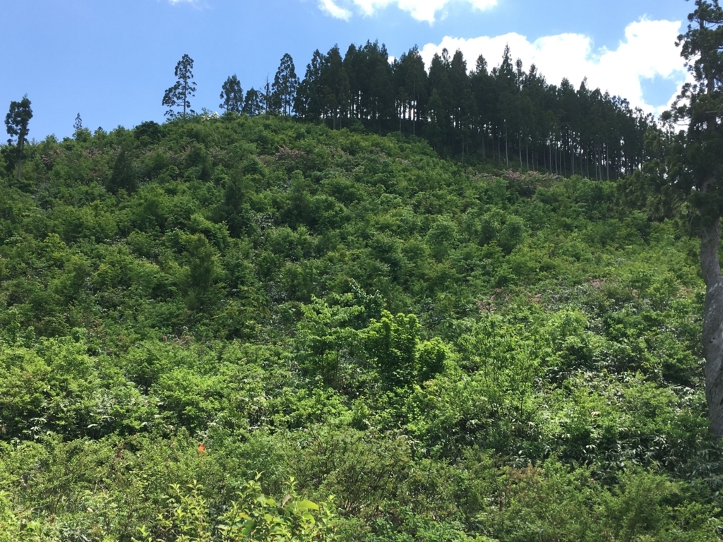 f:id:OISHINGO:20180608195820j:plain f:id:OISHINGO:20180608195820j:plain