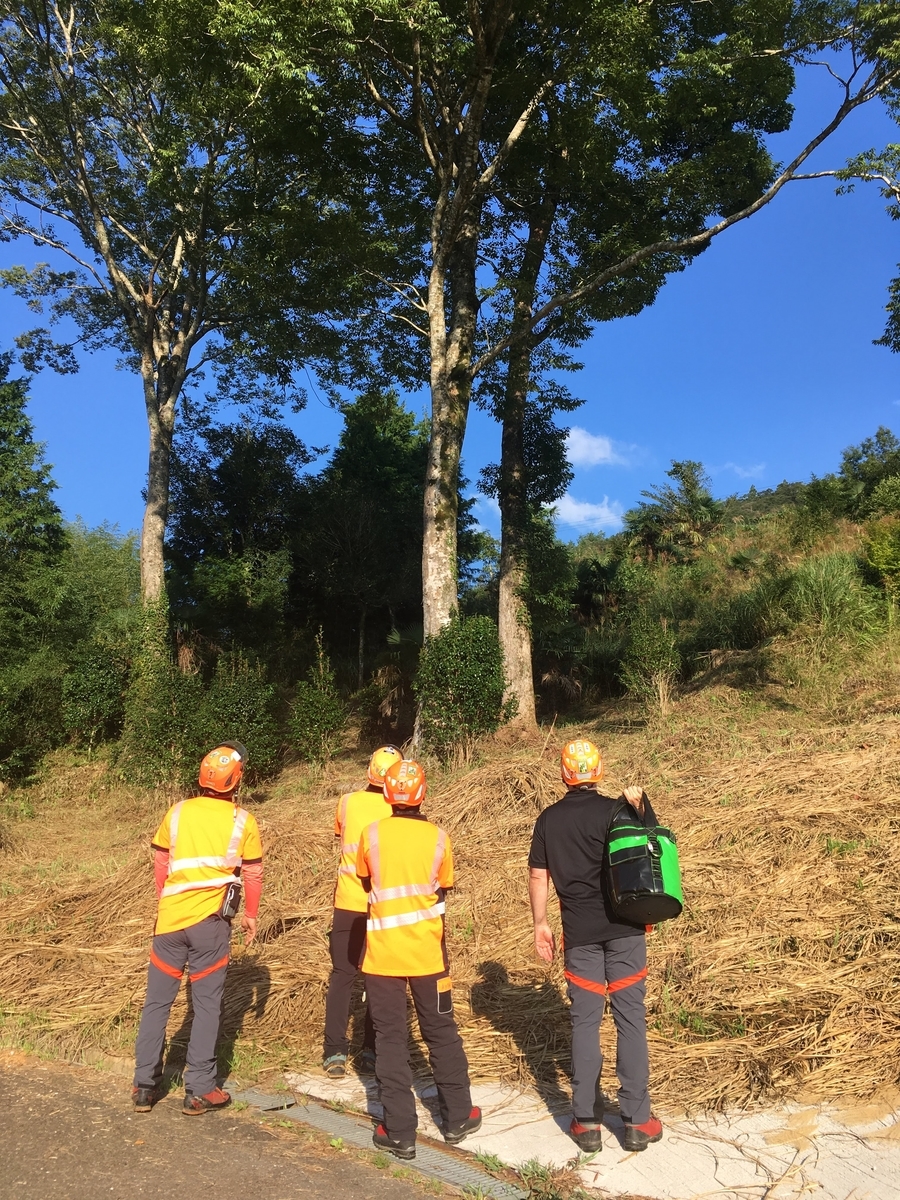 f:id:OISHINGO:20190923160725j:plain