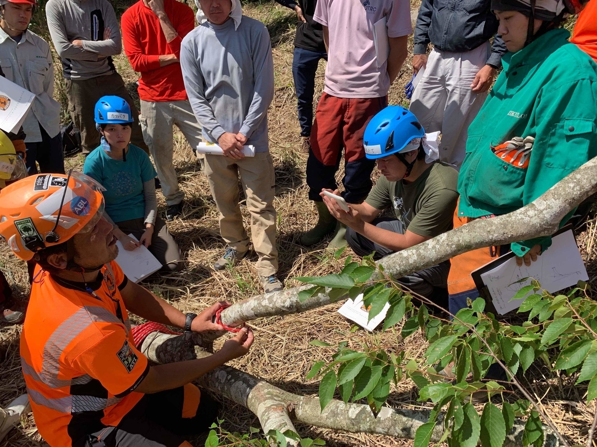 f:id:OISHINGO:20190923174122j:plain