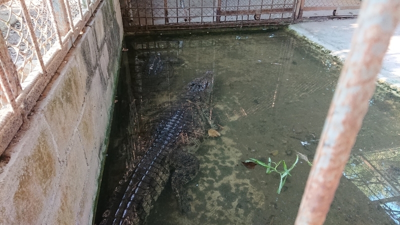 イメージ 7