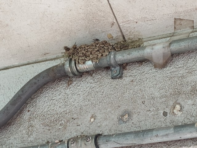 f:id:OKComputer:20260822190456j:image f:id:OKComputer:20260822190456j:image