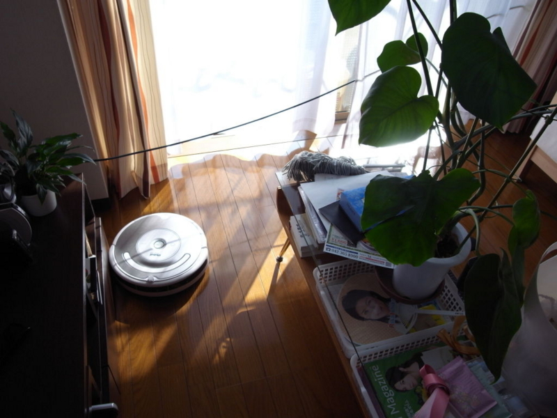f:id:OKP:20101016132933j:image