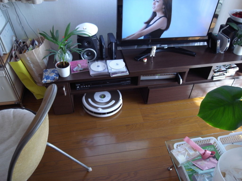 f:id:OKP:20101016132948j:image