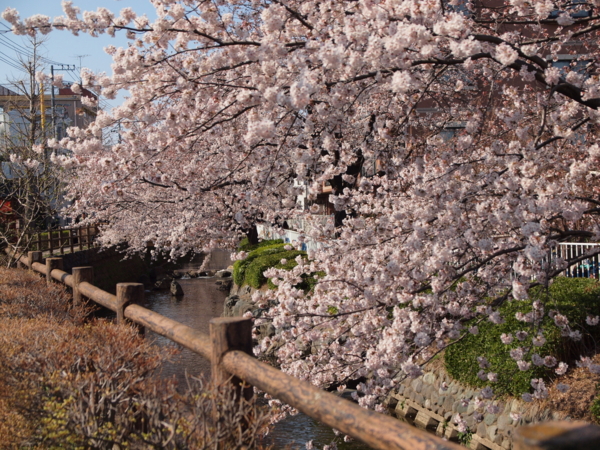 f:id:OKP:20120408144600j:plain
