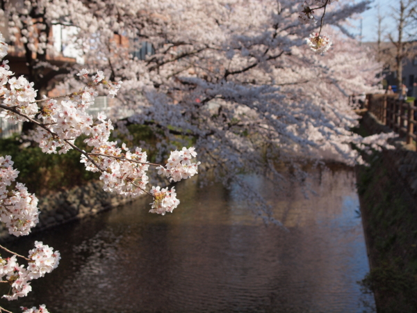 f:id:OKP:20120408145049j:plain