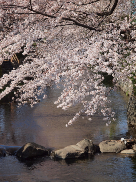f:id:OKP:20120408145754j:plain
