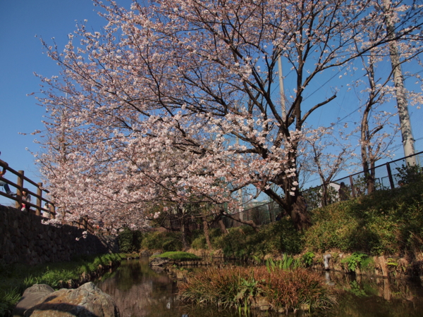 f:id:OKP:20120408150345j:plain