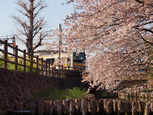 f:id:OKP:20120408152101j:plain