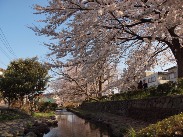f:id:OKP:20120408153552j:plain