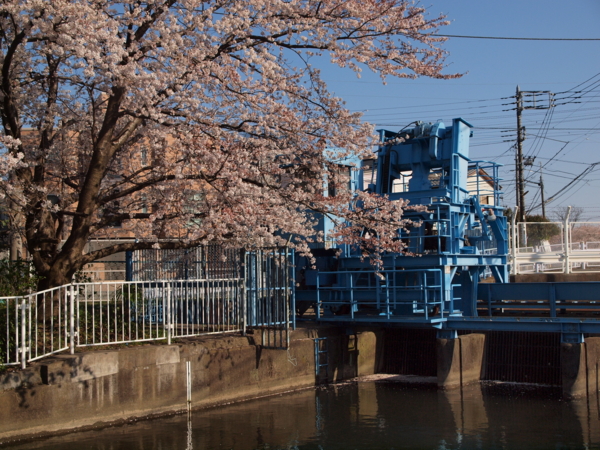 f:id:OKP:20120408154437j:plain